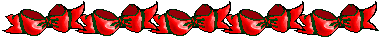 bow border